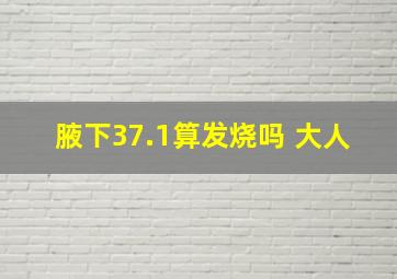 腋下37.1算发烧吗 大人